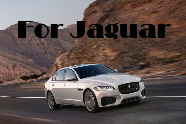 Carbon Mirror Caps - For Jaguar