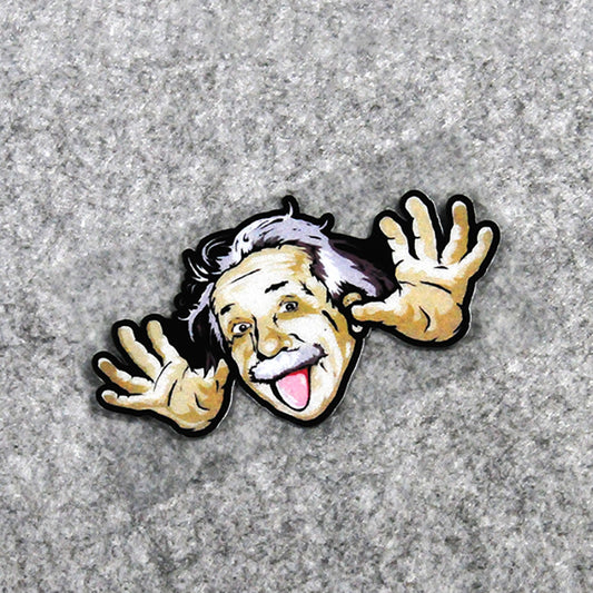 Pinalloy Gag Sticker Funny Einstein